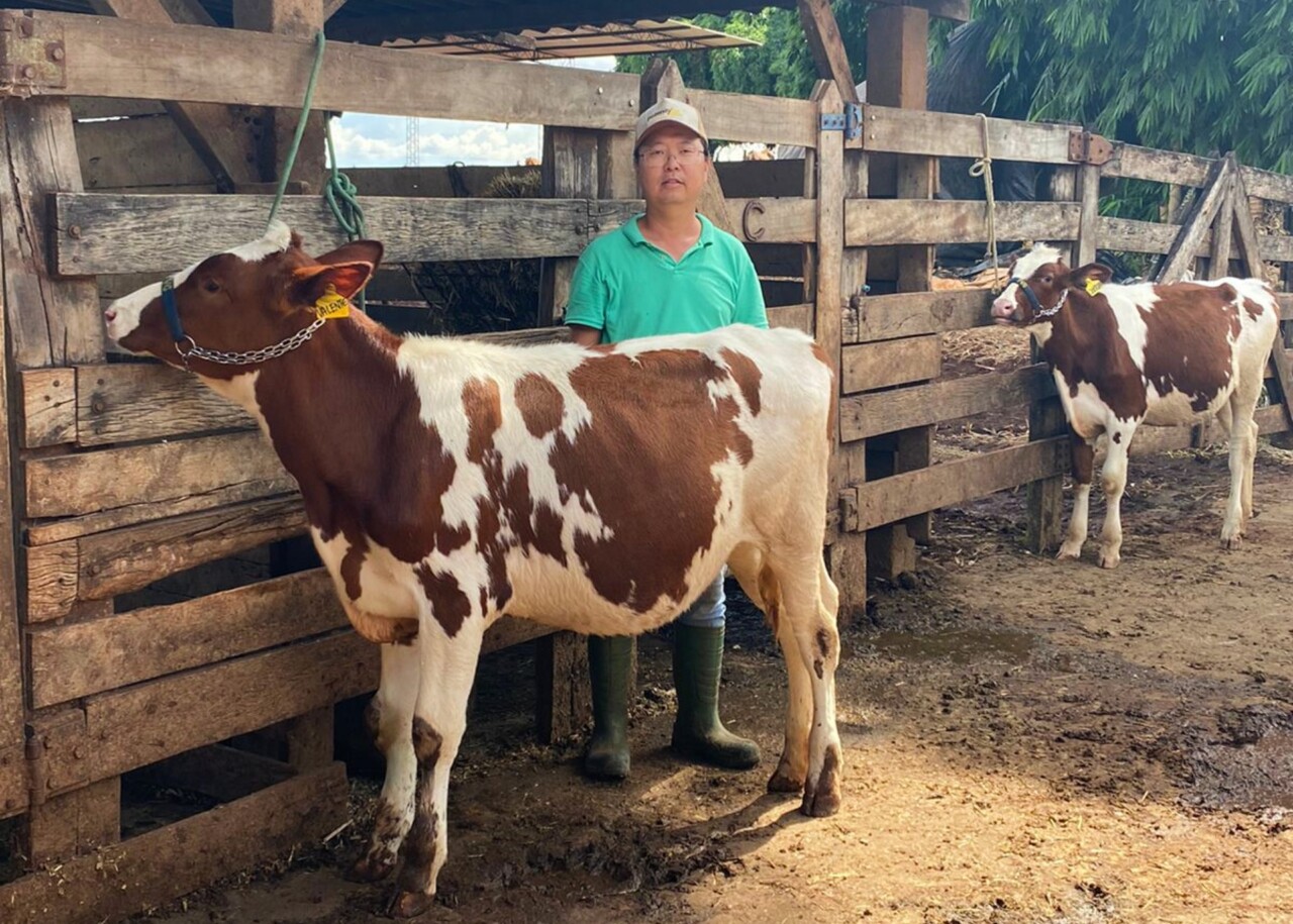 Biotecnologia Aliada Do Pecuarista Para Maximizar Potencial Do