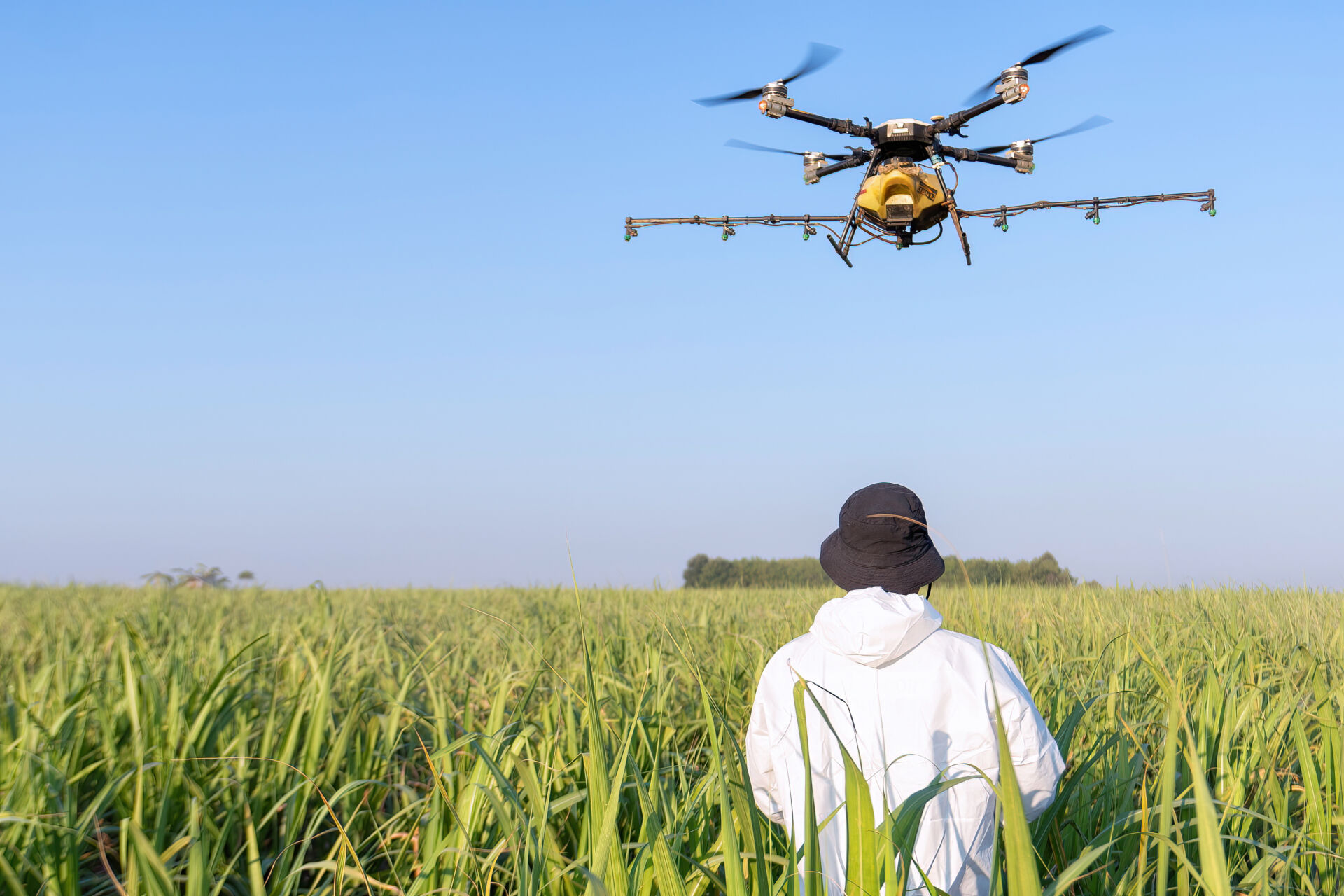 Confira As Profissões Em Alta No Agronegócio Neste Ano Agrorevenda 1714