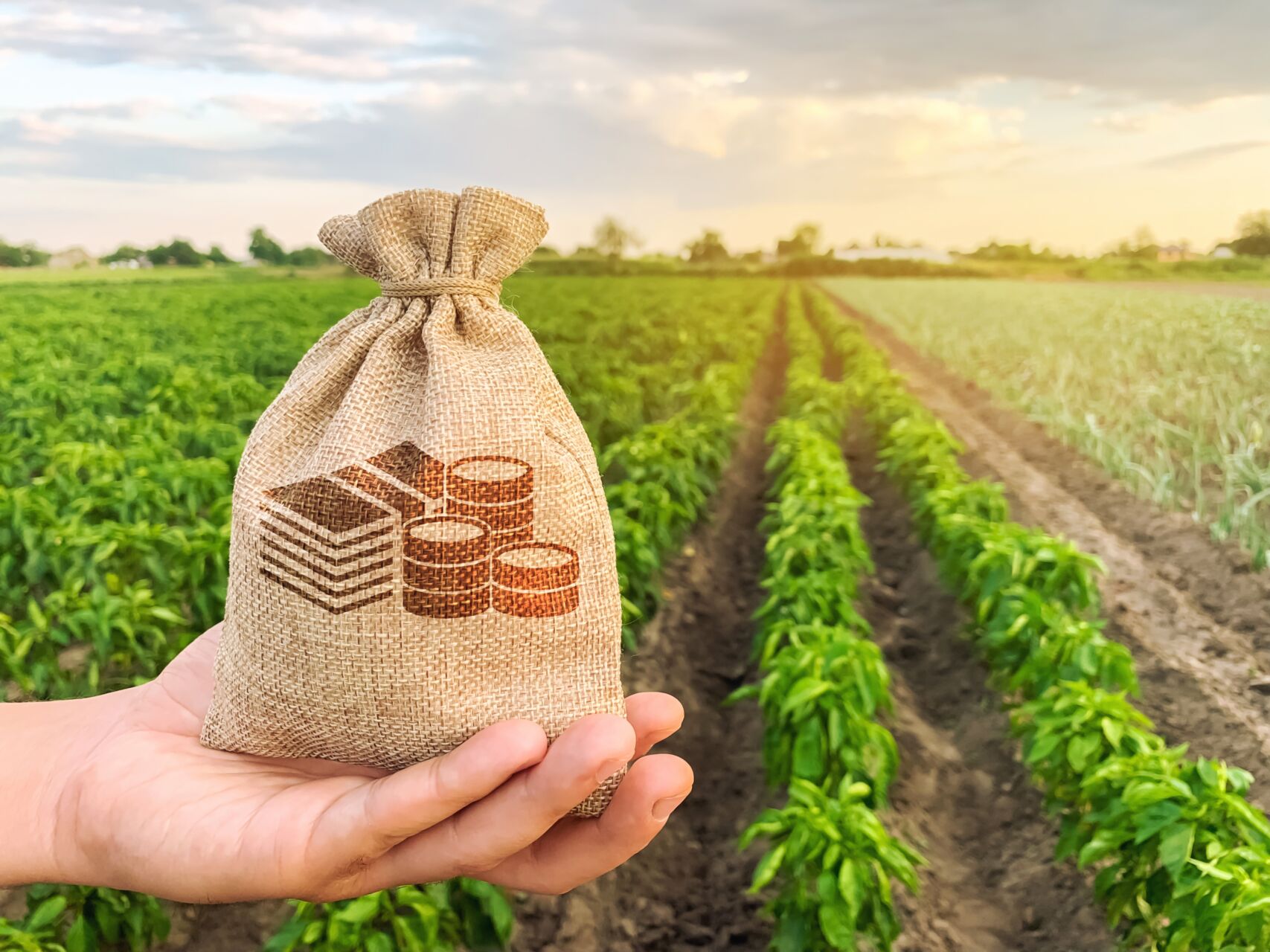 BNDES amplia apoio a coops de crédito e do setor agropecuário