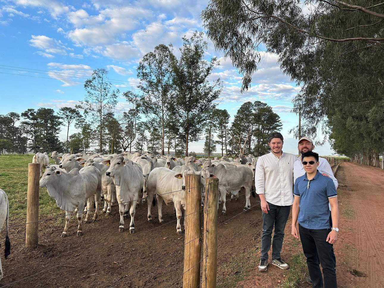 ABCZ festeja abertura do mercado da Indonésia para genética bovina