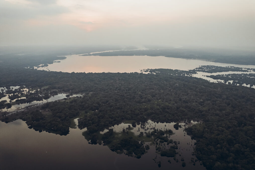 Pacto reforça Código Florestal como base para agricultura sustentável e resiliente