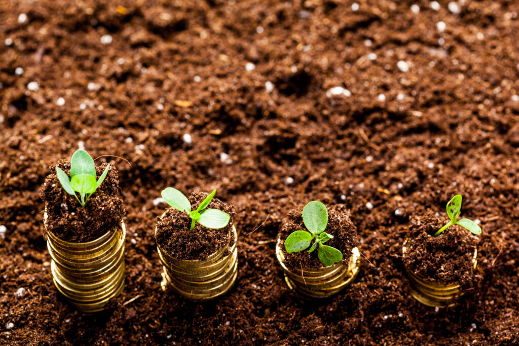 Advogado critica restrição do BB a produtores em recuperação judicial