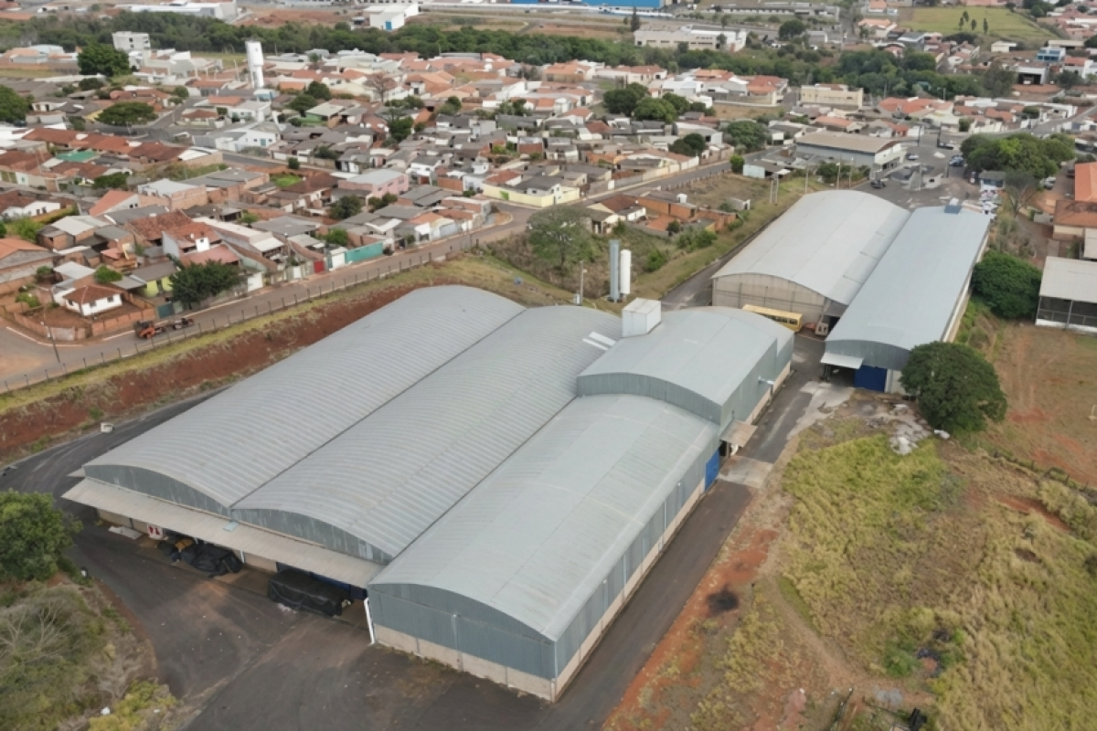 Justica decreta prisão de Elvis Vilhena Faleiros, presidente da Cocapil, por desviar sacas de café