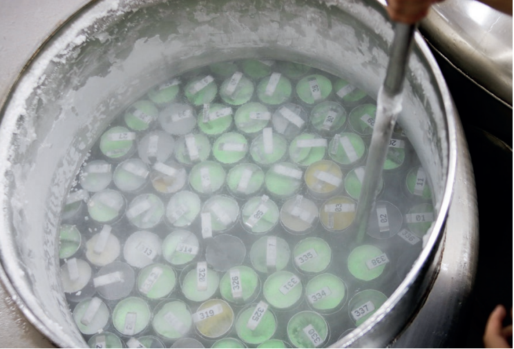 Anuário da ASBIA mostra avanço da genética e recordes