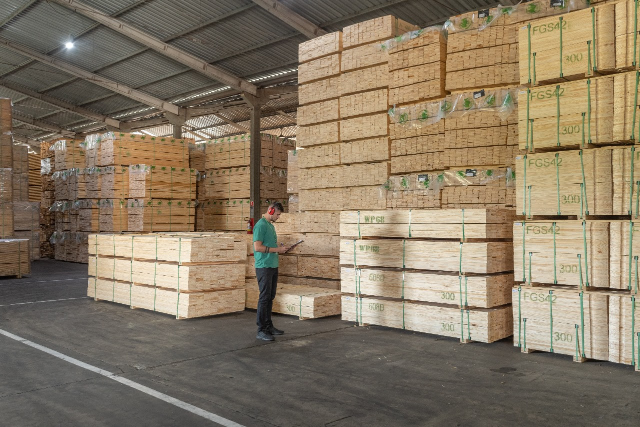 Tarifaço derruba exportações florestais do Paraná