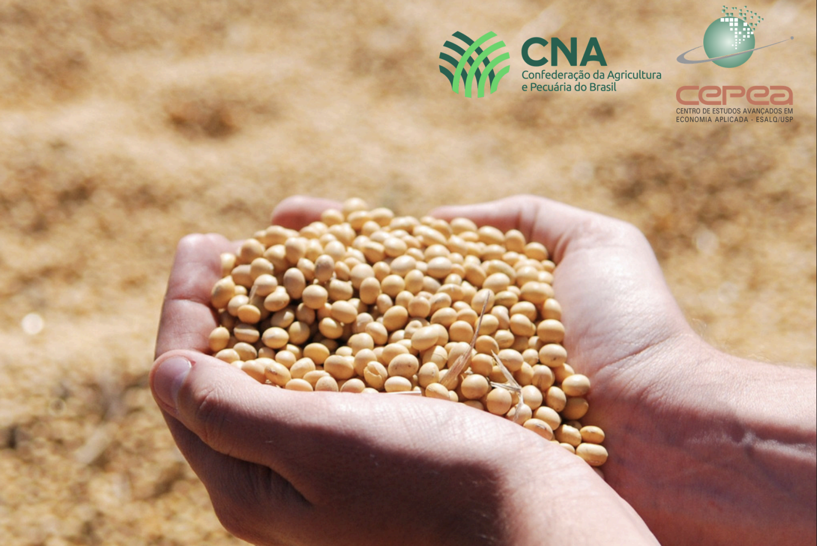 Emprego no agro cresce e tem maior nível da história