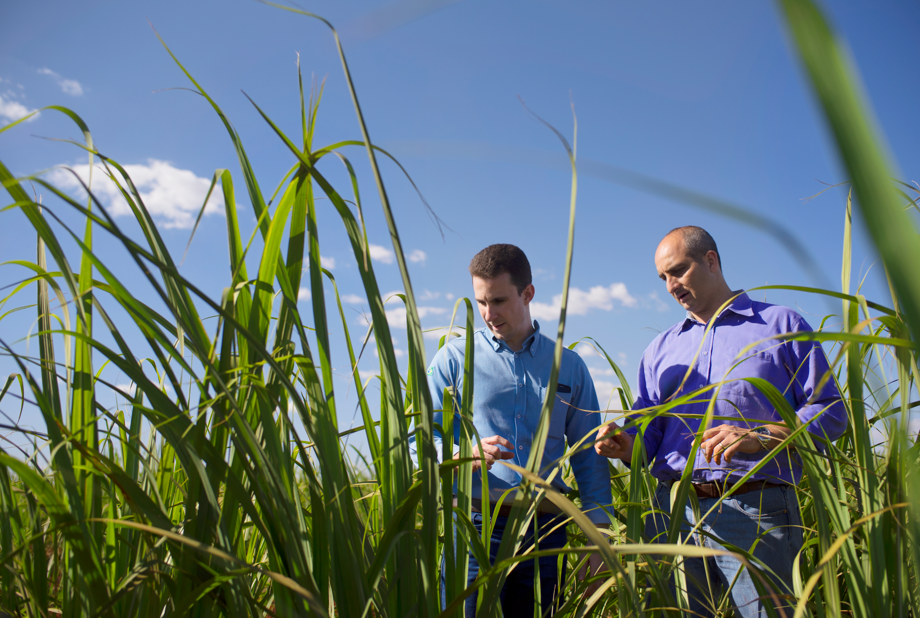 Bayer no fundo de R$ 500 milhões para Agro sem carbono