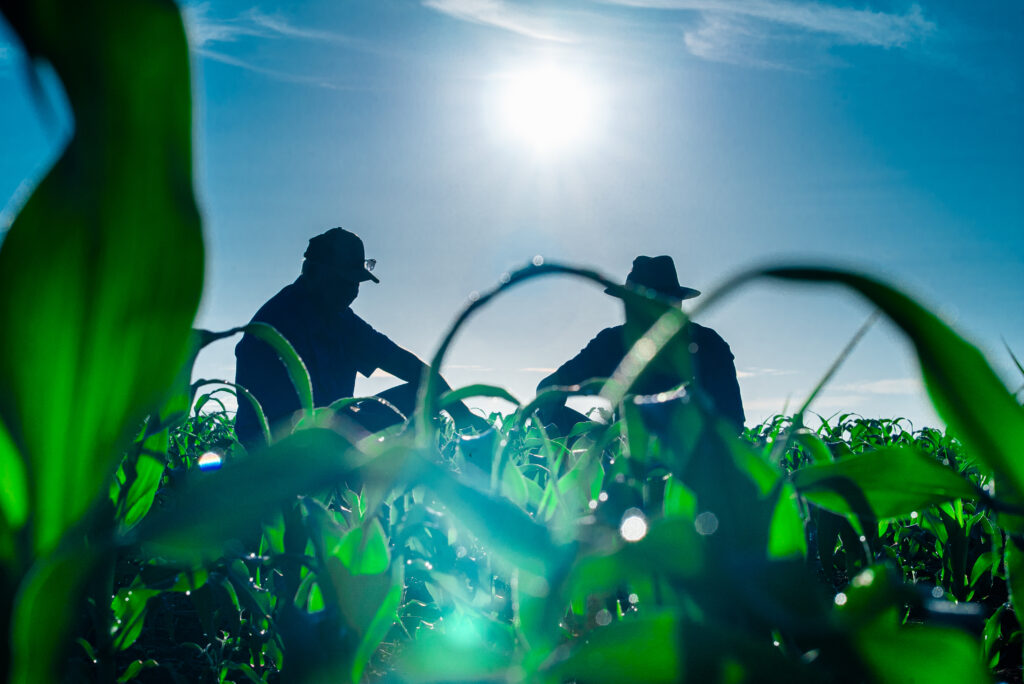 Cooperativas impulsionam economia circular no agro