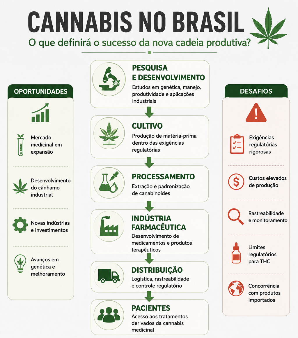Cannabis medicinal entra em nova fase no Brasil