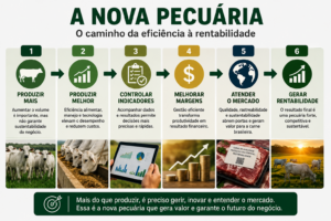 Rentabilidade domina debates da Feicorte 2026