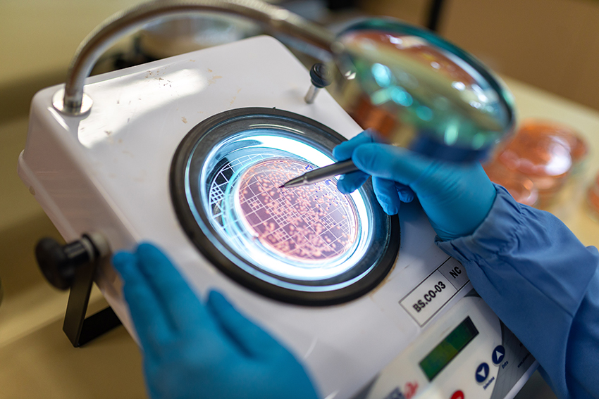 Embrapa aproxima pesquisa e indústria dos bioinsumos