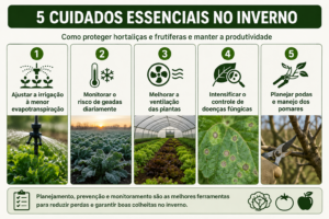 Frio muda rotina de manejo em hortaliças e frutíferas