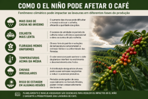 Fórum da Cooxupé discutirá efeitos do El Niño no café