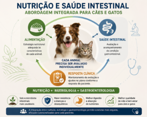 Nutrição é essencial no cuidado da saúde intestinal