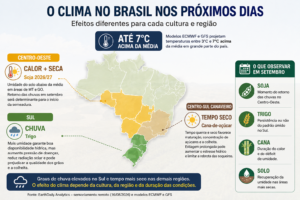 Calor e chuva impõem desafios diferentes a lavouras