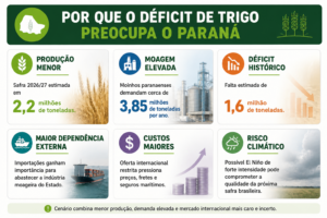 Paraná terá déficit recorde no abastecimento de trigo