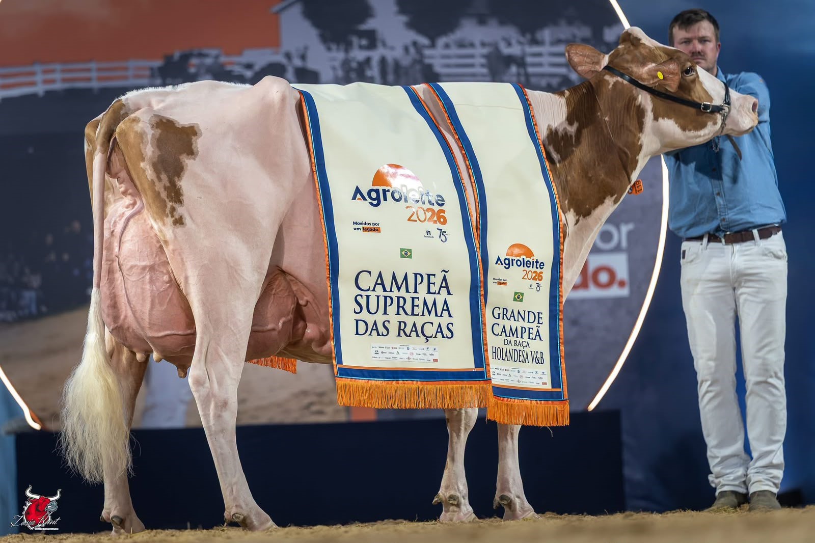 Holandesa Vermelha e Branca entra para a Calçada da Fama
