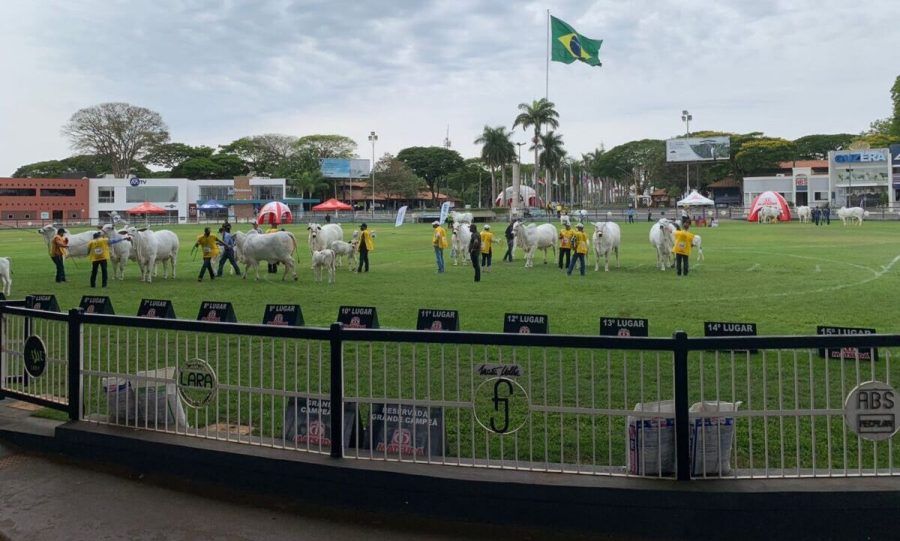 ACNB-anuncia-abertura-de-inscricoes-para-a-52-Expoinel-em-Uberaba-MG-foto-divulgacao