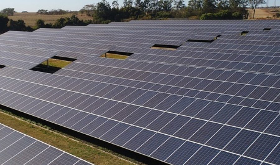 Coopercitrus fotovoltaica corte