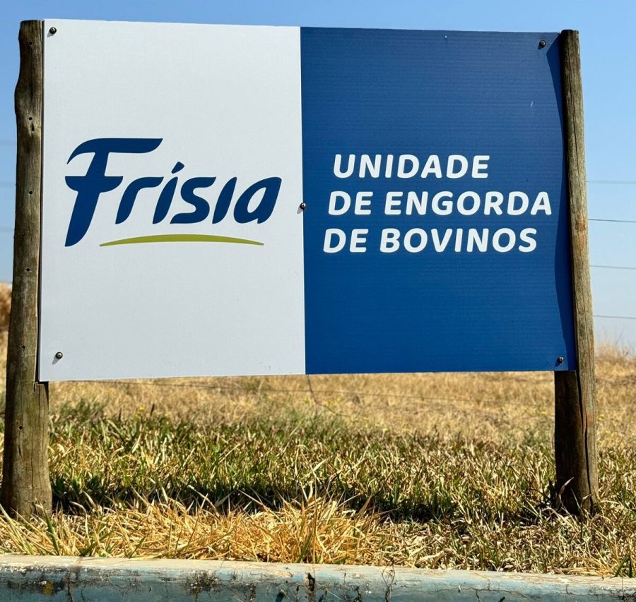 Frísia boias unidade de engorda