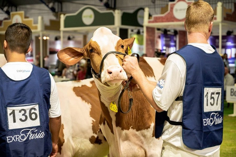 Frísia expofrísia e digital agro publico dobro