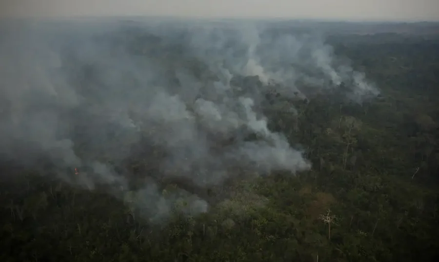 INCêndios SP