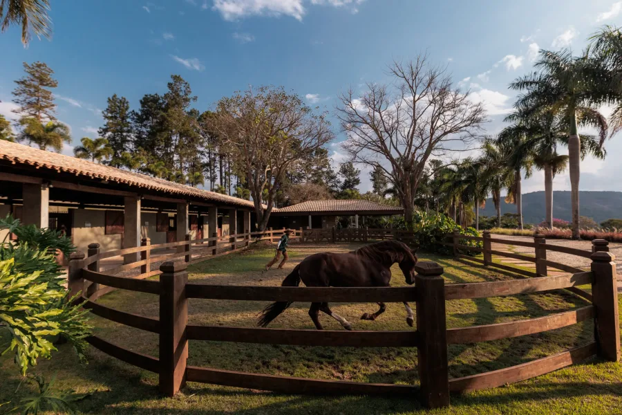 Brasil tem registrado um-crescimento na procura por empreendimentos voltados para praticas equestres. Foto Nicolas Ferri