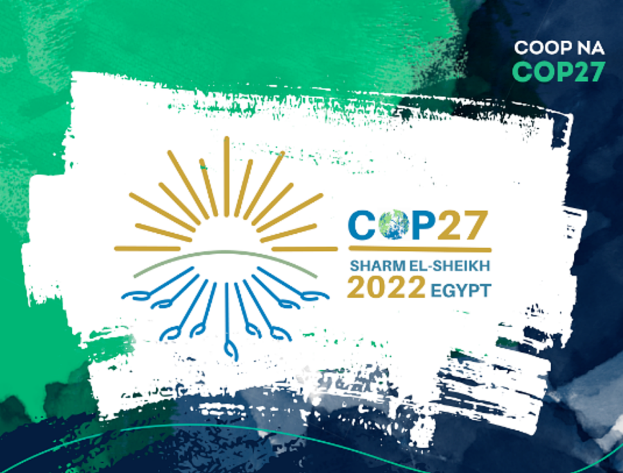 OCB na COP 27