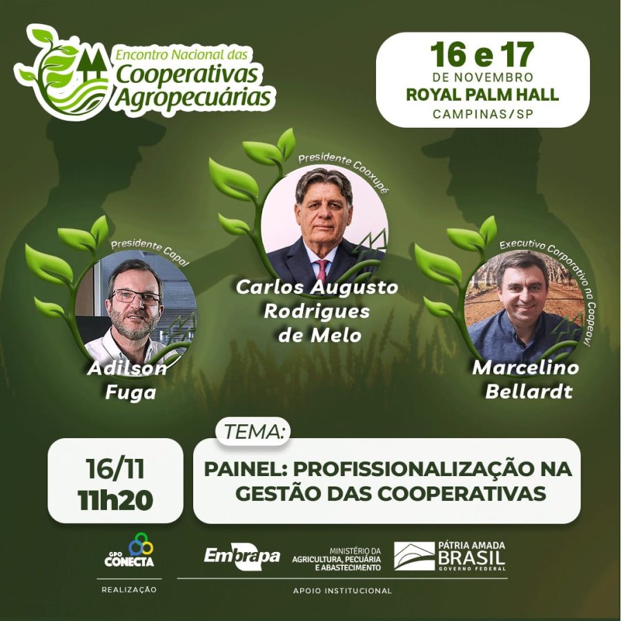 Post Profissionalização na Gestão das Cooperativas