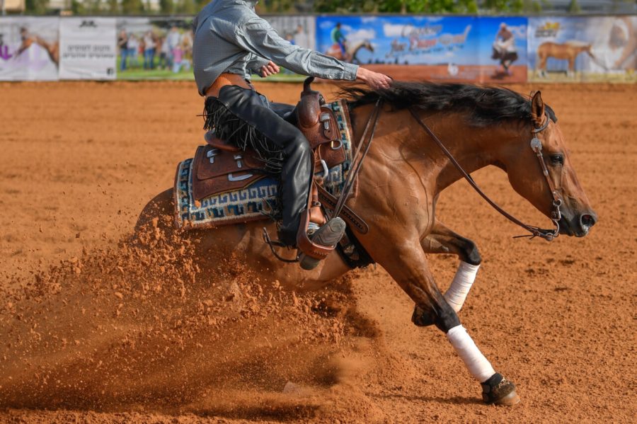 The side view of a rider in jeans, cowboy chaps and checkered sh