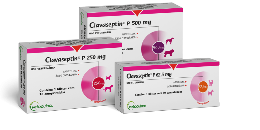 VETOQUINOL-Clavaseptin-P-Antibiotico-para-caes-e-gatos