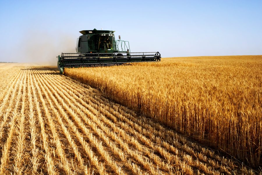 combine  harvesting