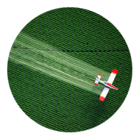 aviacao