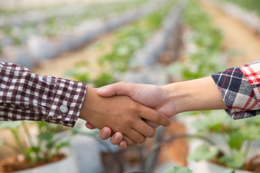 business-agreement-shaking-hands-melon-plantation