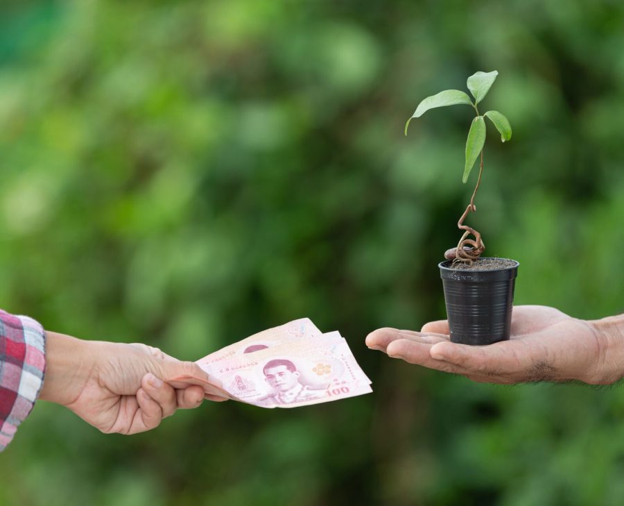 close up picture of money exchange with plants between customer and seller