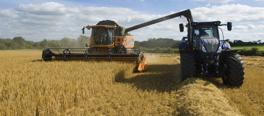 Combine harvester and tractor, harvesting wheat