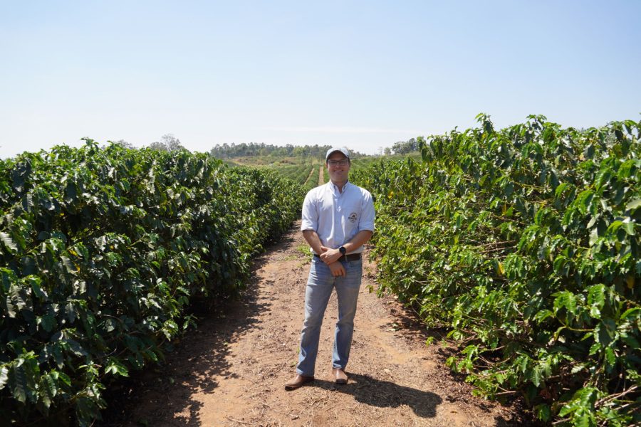 coopercitrus cooperado lincoln DSC04103