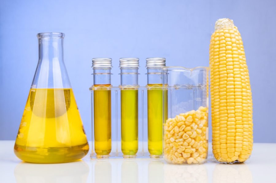 Ethanol biofuel derived from corn maze with beaker and test tubes in laboratory