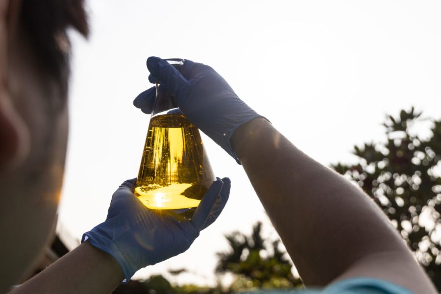 Ethanol biofuel derived from corn maze with beaker and test tubes in laboratory