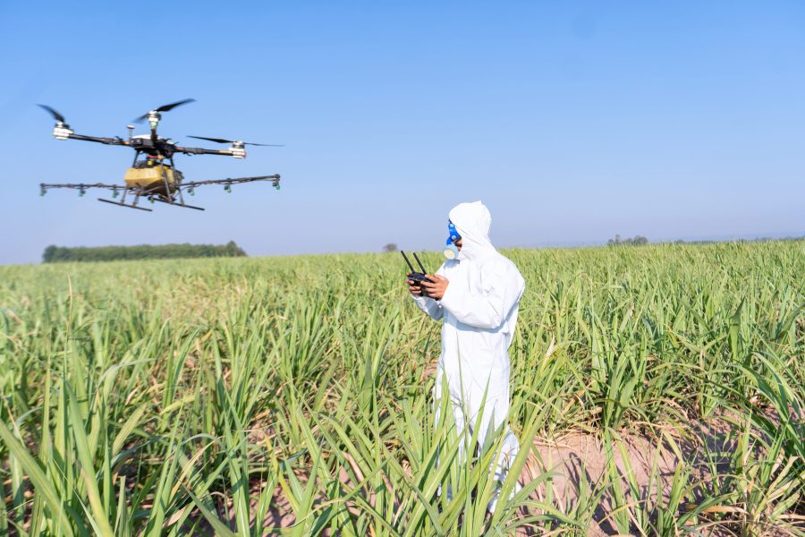 Farmer fly drone spray insecticide using high technology increasing productivity agriculture