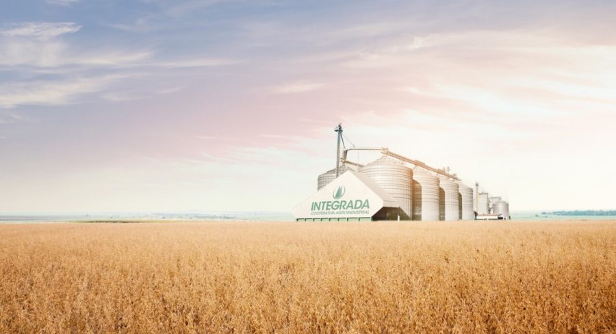 Subject: Storage grain bin silos in a field of matured corn crop in harvest time.