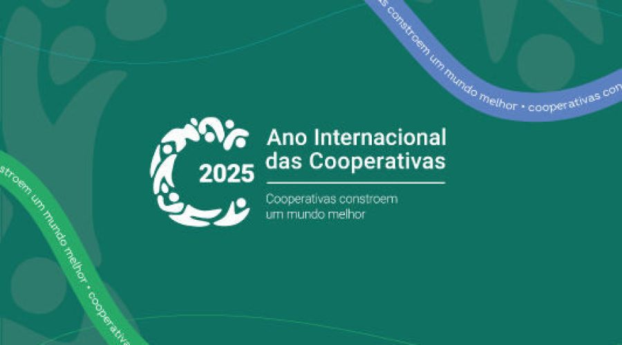 ocb ano_internacional_12_03_2025