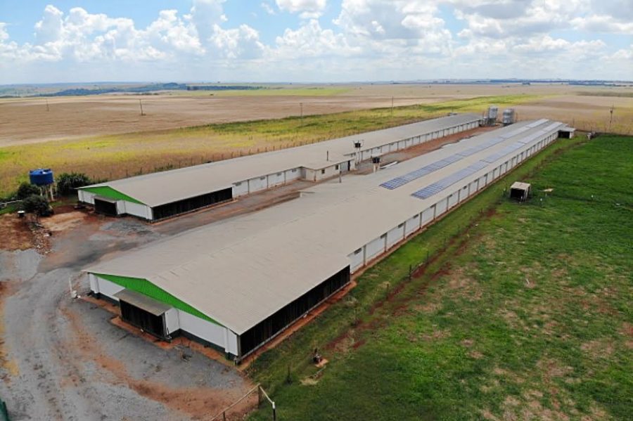 Banco do Agricultor, Antônio Navarro, Sabáudia