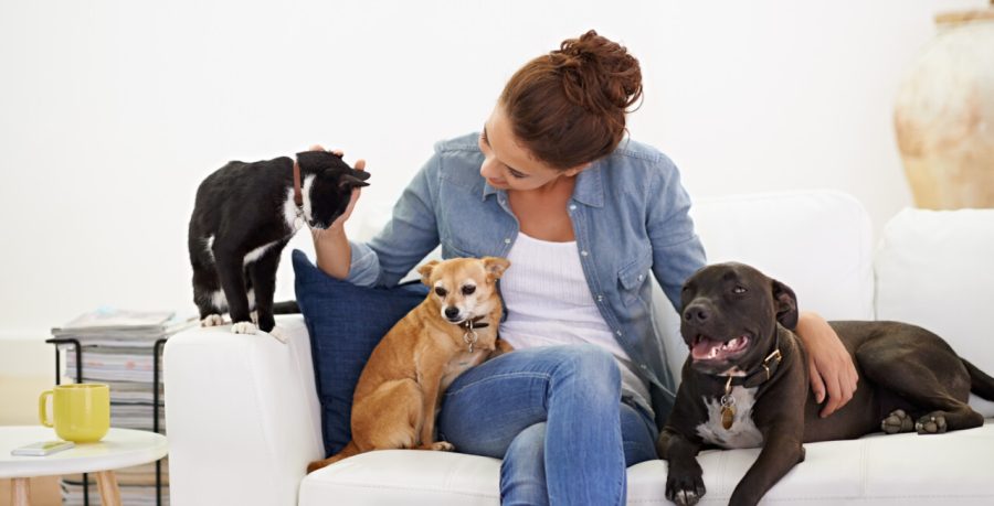 Shot of a beautiful young woman relaxing on the couch with her dog and cat.