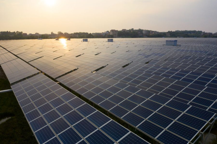 The Solar panels on the lawn