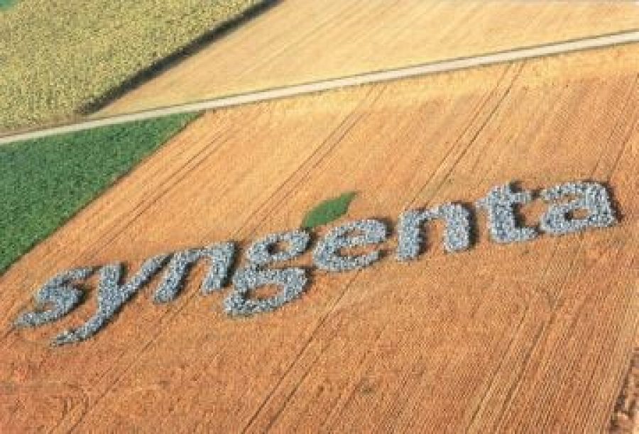 syngenta