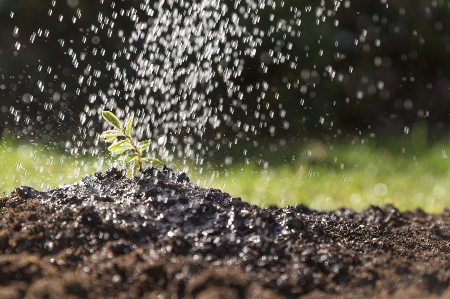 water-falling-plant